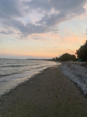 Leonidas Seaside